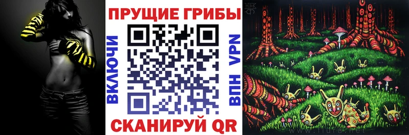 цена наркотик  Судогда  ссылка на мегу рабочий сайт  Псилоцибиновые грибы прущие грибы 